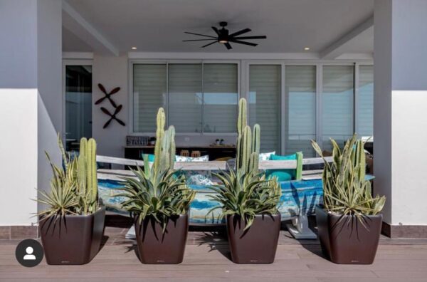 IMG-20241213-WA0004 IMG-20241213-WA0004